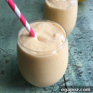 Paradise Yogurt Blend 5 Tropical Yogurt Smoothie