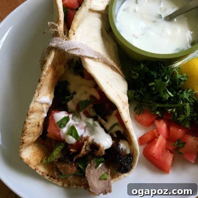 Zesty Mediterranean Steak Wraps with Cool Mint Yogurt 6 Plated Mediterranean Steak Pita Wraps with Mint Yogurt Sauce, garnished with fresh herbs and tomatoes.