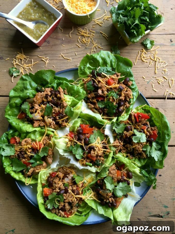 Fiesta Turkey Lettuce Wraps 2 Mexican Turkey Lettuce Wraps