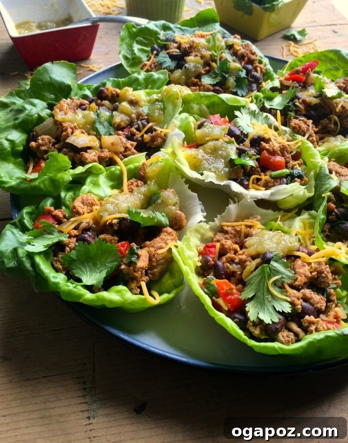 Fiesta Turkey Lettuce Wraps 4 Mexican Turkey Lettuce Wraps close up