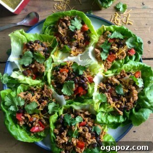 Mexican Turkey Lettuce Wraps