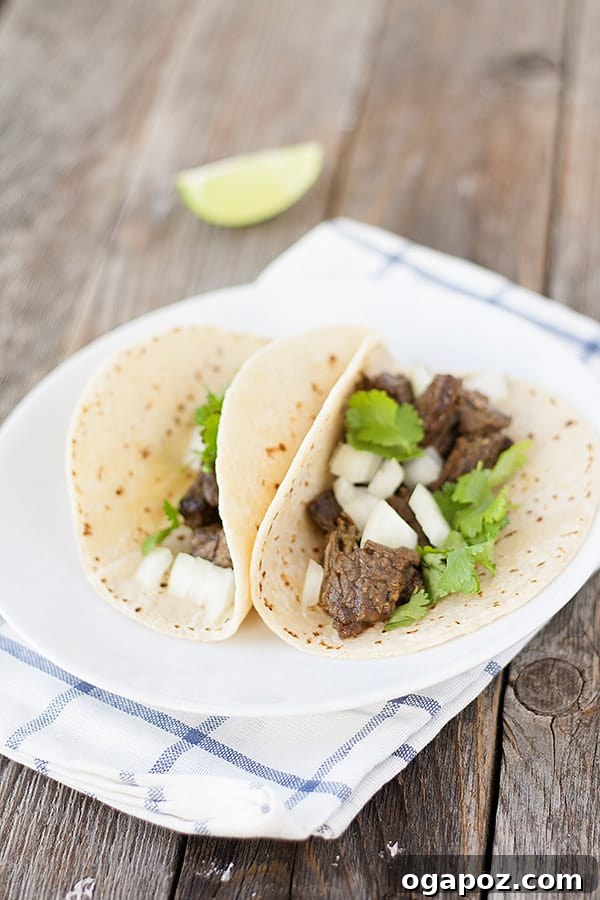 15 Epic Taco Recipes You Need to Try 16 Authentic Simple Street Tacos
