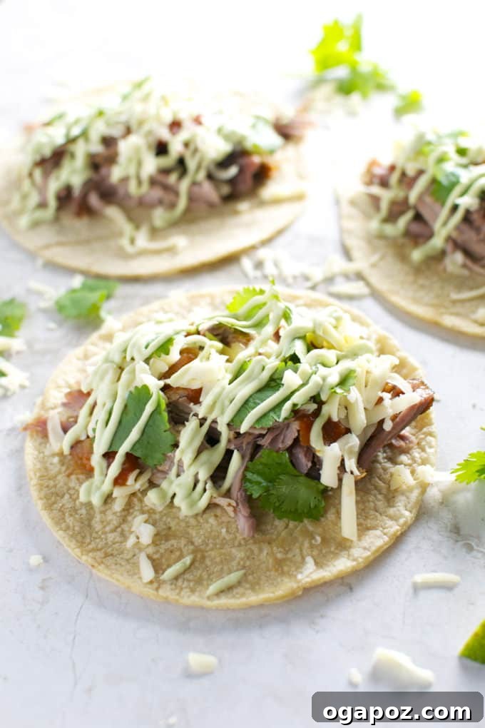 15 Epic Taco Recipes You Need to Try 4 Delicious Slow-Cooked Pork Tacos