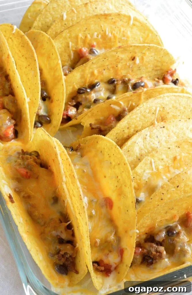 15 Epic Taco Recipes You Need to Try 10 Crispy Oven Baked Tacos