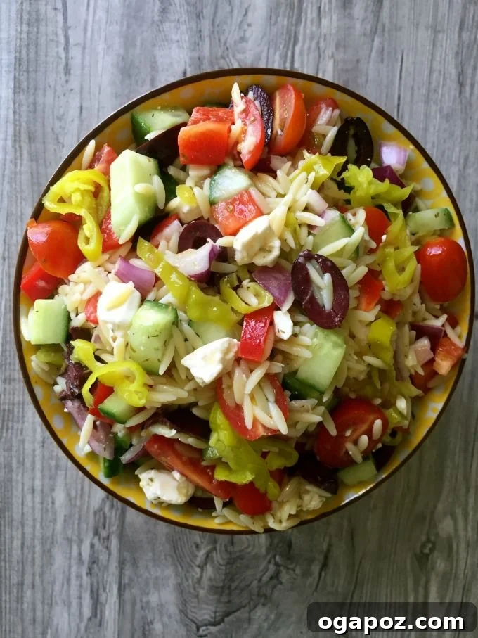 Irresistible Summer Pasta Salad Ideas 12 Greek Orzo Pasta Salad with feta and fresh herbs