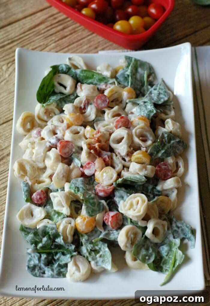 Irresistible Summer Pasta Salad Ideas 13 BLT Tortellini Salad with crispy bacon