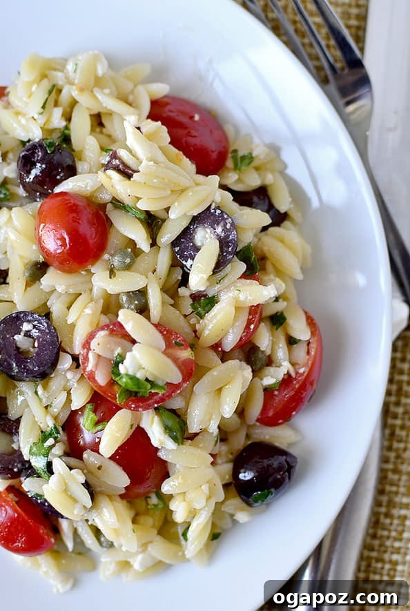 Irresistible Summer Pasta Salad Ideas 15 Mediterranean Orzo Salad with fresh vegetables and feta