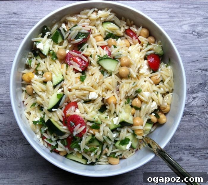 Irresistible Summer Pasta Salad Ideas 4 Summer Orzo Pasta Salad with fresh vegetables