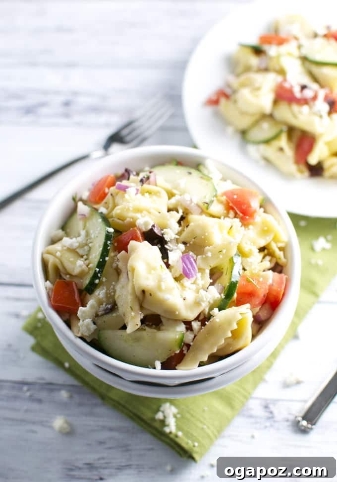Irresistible Summer Pasta Salad Ideas 5 Greek Tortellini Pasta Salad with feta and olives