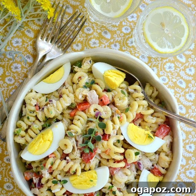 Irresistible Summer Pasta Salad Ideas 10 Humble Pasta Salad with Tuna and fresh vegetables