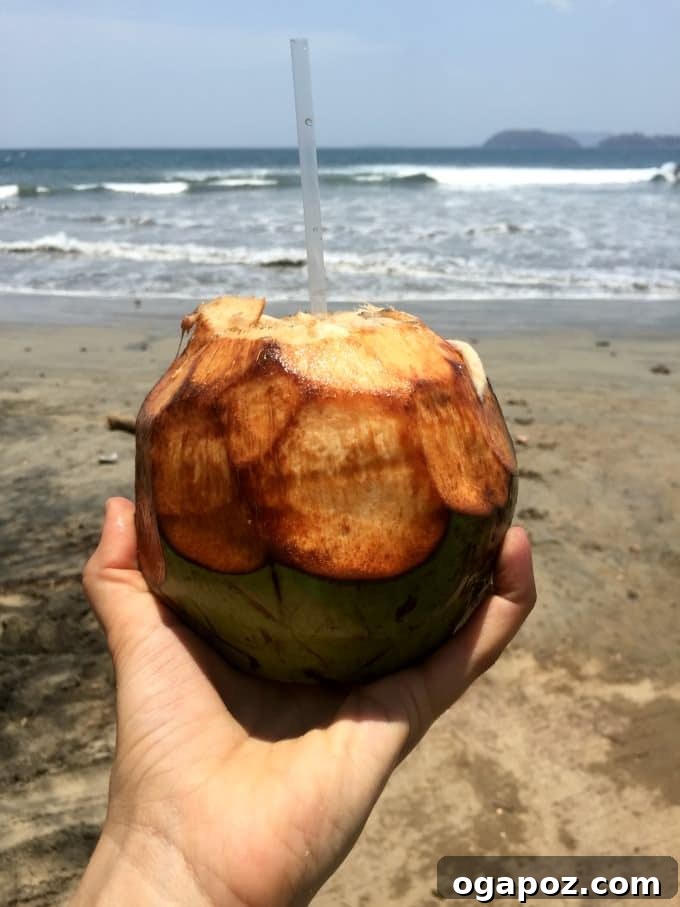 Tamarindo: Costa Rica's Pacific Paradise 12 A fresh coconut being opened on a tropical beach