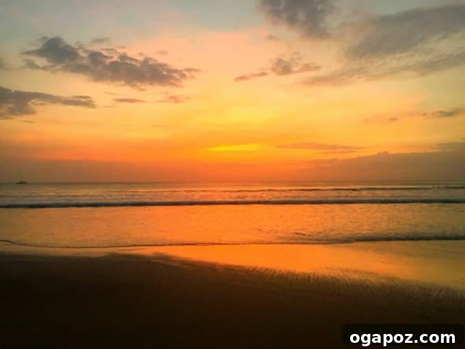 Tamarindo: Costa Rica's Pacific Paradise 16 Beautiful sunset over the ocean with a lone palm tree silhouetted against the colorful sky
