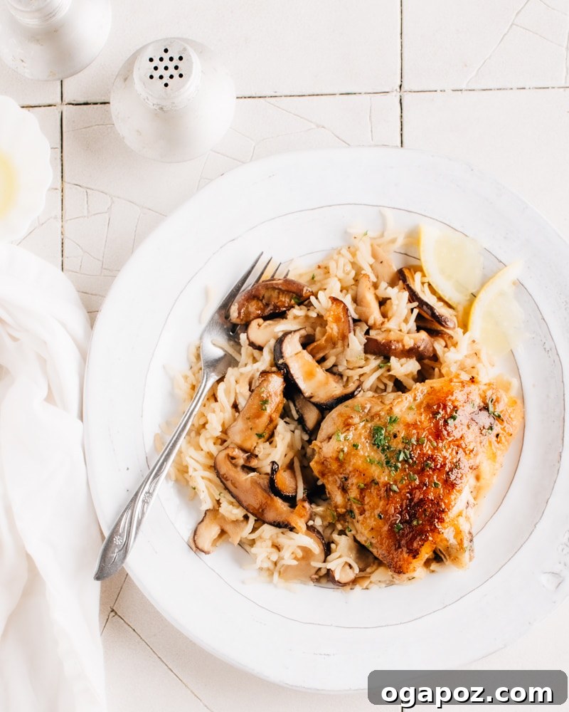 Zesty Lemon Chicken and Mushroom Rice Bake 3 Lemony Mushroom and Rice Bake