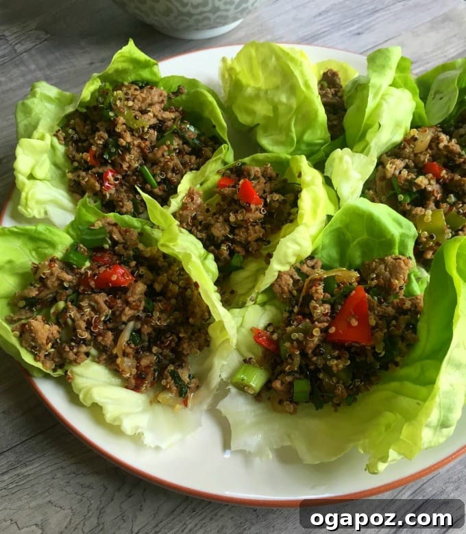Healthy dinner idea: Thai Turkey Quinoa Lettuce Wraps