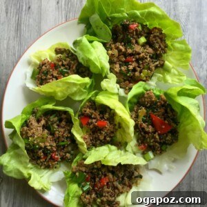 Thai Turkey Quinoa Lettuce Wraps