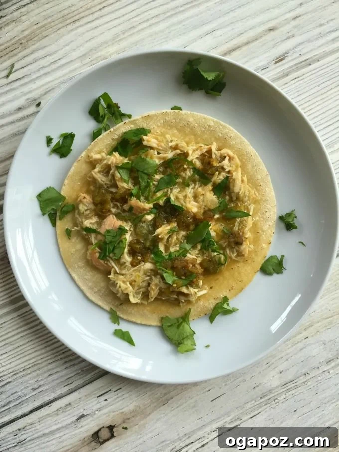 Set It and Forget It Salsa Verde Chicken Tacos 7 Slow Cooker Salsa Verde Chicken Tacos
