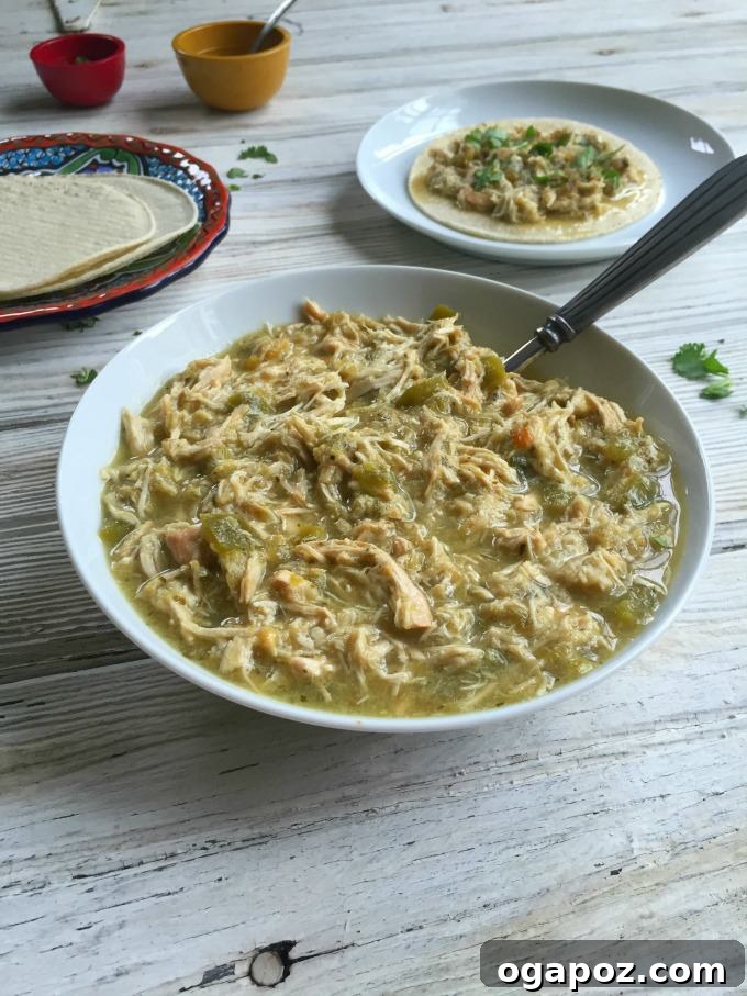 Set It and Forget It Salsa Verde Chicken Tacos 8 Slow Cooker Salsa Verde Chicken Tacos