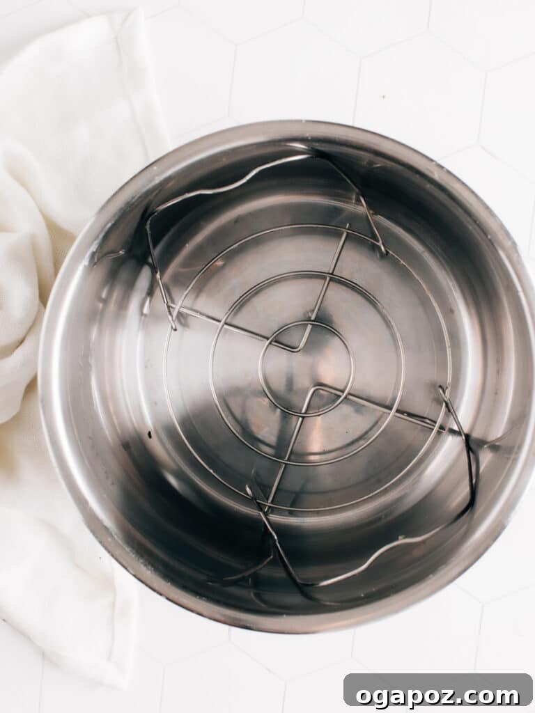An Instant Pot pressure cooker basket with water inside, illustrating the first step of setting up the cooker.