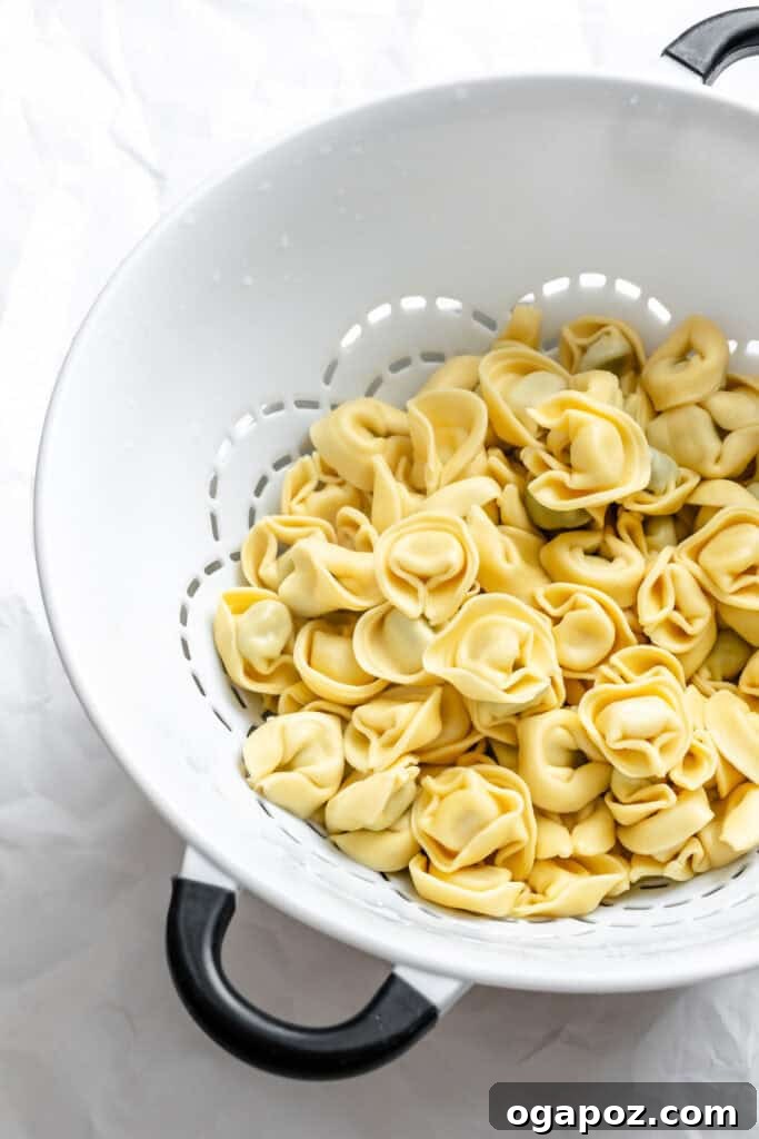 Drained tortellini resting in a colander, with steam gently rising, ready for the next step.