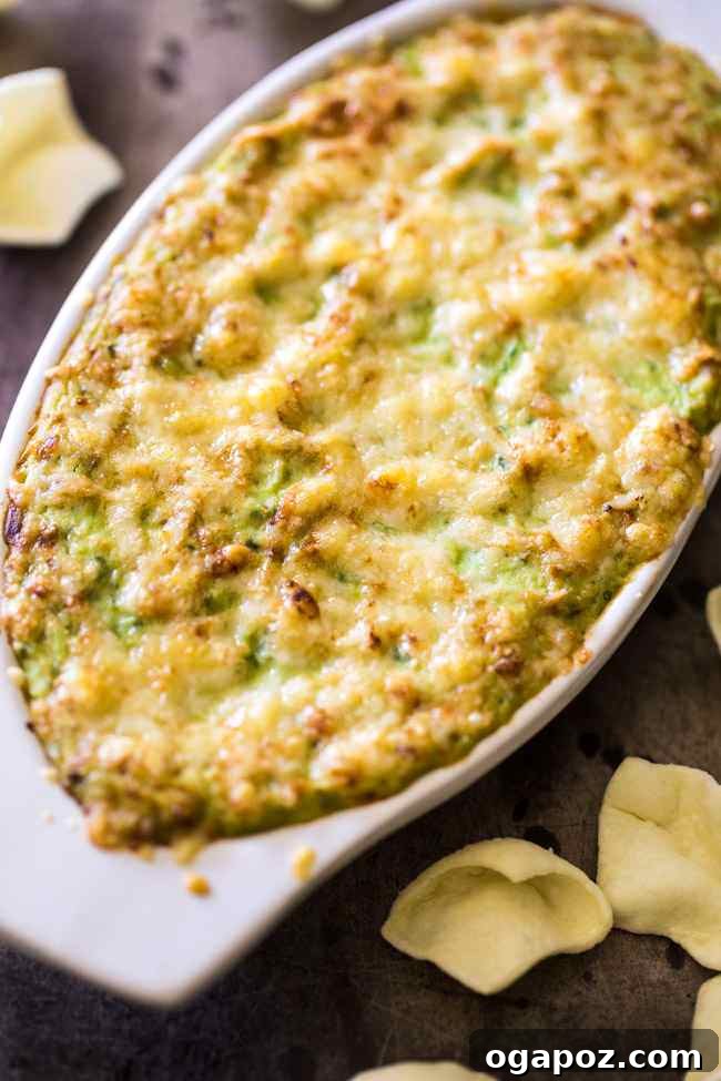 21 Creative Ways to Enjoy Kale 21 Creamy Greek Yogurt Dip with Kale and Parmesan