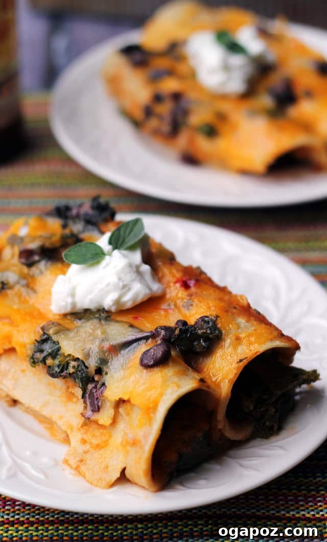 21 Creative Ways to Enjoy Kale 22 Hearty Black Bean and Kale Enchiladas with Ranchero Sauce