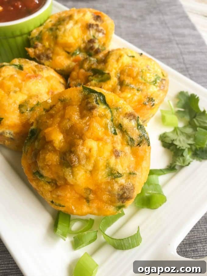 Fiesta Taco Egg Bites 2 Southwestern Taco Egg Muffins on a serving plate