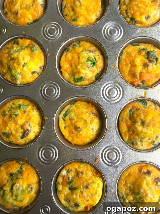 Fiesta Taco Egg Bites 4 Mixing bowl with ingredients for Southwestern Taco Egg Muffins