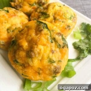 Fiesta Taco Egg Bites 5 Southwestern Taco Egg Muffins on a white platter