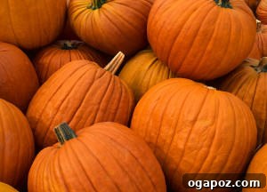 Fresh, vibrant pumpkin, ready for cooking and baking
