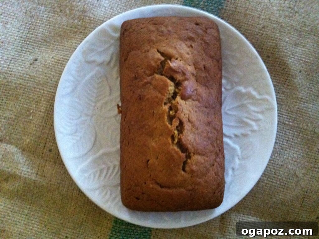 Close-up of a beautifully baked pumpkin bread loaf