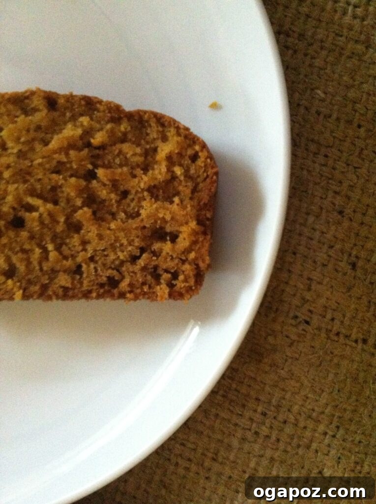 A single, perfect slice of moist pumpkin bread