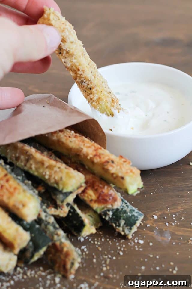 12 Irresistible Zucchini Recipes 7 Crispy baked zucchini fries served with a side of creamy ranch dip
