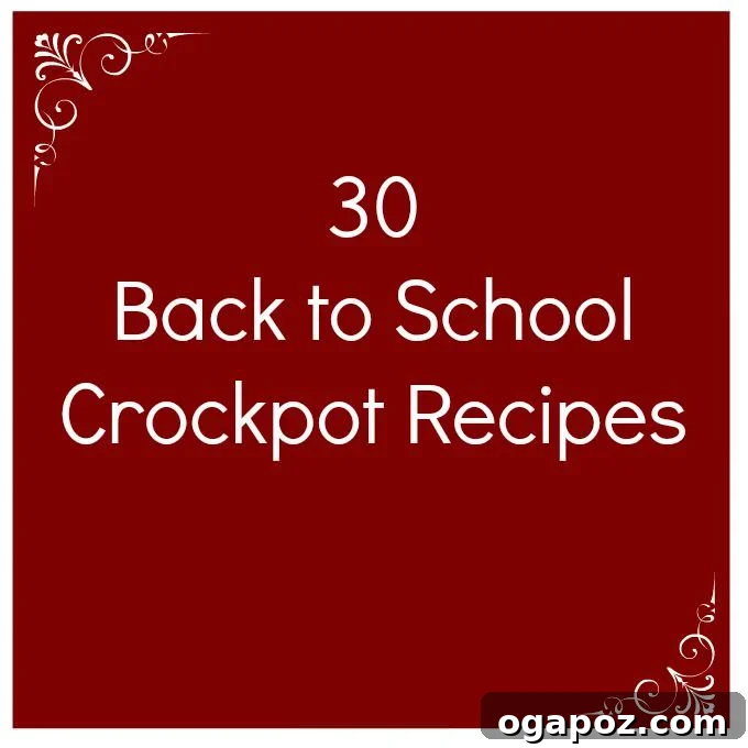 Effortless Slow Cooker Dinners for Busy School Nights 12 A second vibrant collage of various slow cooker recipes, emphasizing comfort and ease for the busy back-to-school period.