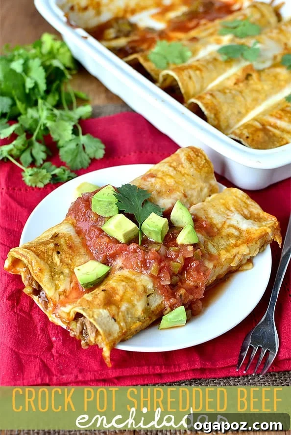 Effortless Slow Cooker Dinners for Busy School Nights 8 Delicious crockpot shredded beef enchiladas, perfectly rolled and topped with savory sauce and melted cheese.