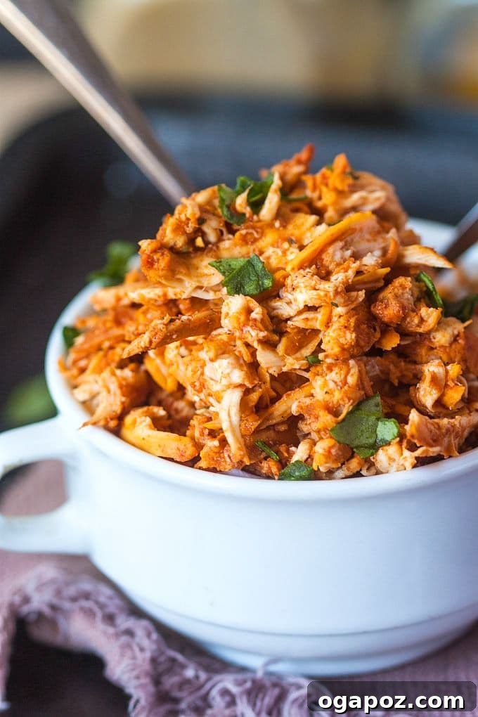 Effortless Slow Cooker Dinners for Busy School Nights 10 Flavorful pulled tandoori chicken, perfectly shredded and ready to be served in wraps, sandwiches, or with rice.
