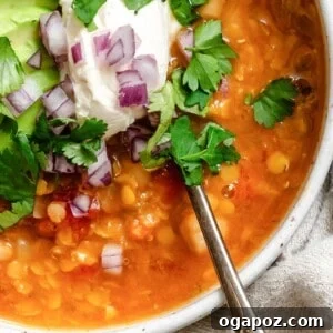 Hearty Lentil Chili 9 A delicious bowl of Hearty Lentil Bean Chili, ready to serve.