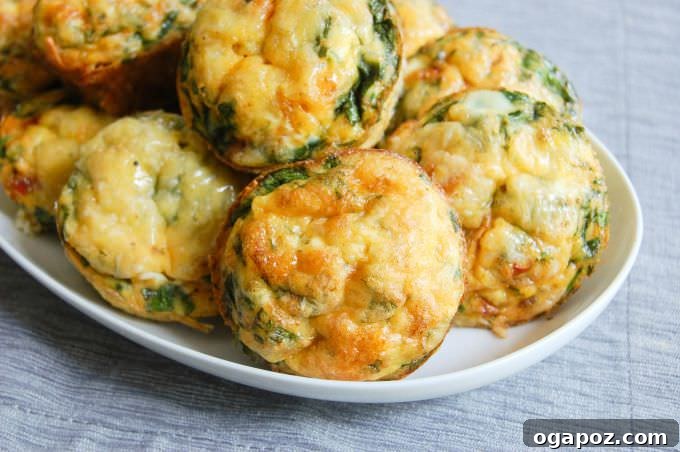 Savory Egg Bites 2 Delicious Breakfast Egg Muffins on a white plate, showcasing a golden-brown exterior and visible spinach and vegetables.