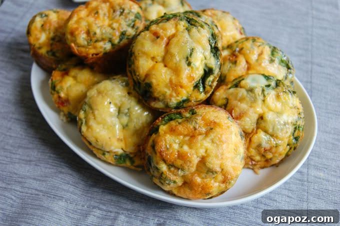Savory Egg Bites 4 A pair of Breakfast Egg Muffins placed on a charming blue napkin, emphasizing their individual serving size.