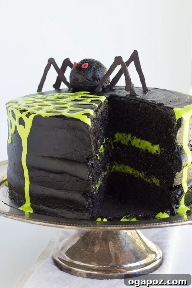 Chilling Cobweb Cake 2 Delicious and Spooky Spider Web Cake, perfect for Halloween parties, adorned with intricate spiderweb design and realistic plastic spiders.