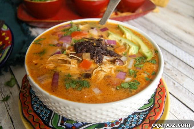 Fiesta Slow Cooker Cheesy Chicken Soup 4 Close-up of Slow Cooker Mexican Cheesy Chicken Soup, showcasing the rich texture, shredded chicken, and melted cheese in a white bowl.