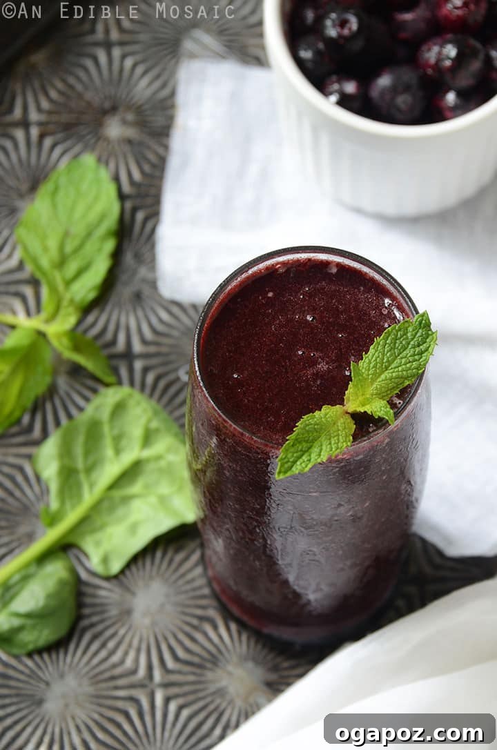 9 Amazing Blueberry Superfood Smoothies 3 A refreshing Minted Blueberry Balsamic Smoothie in a clear glass, elegantly garnished with fresh mint leaves and whole blueberries, highlighting its unique flavor profile.