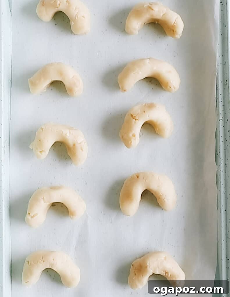Snow Dusted Kourabiedes A Greek Christmas Classic 11 Unbaked Kourabiedes dough, meticulously shaped into perfect crescents, arranged neatly on a parchment-lined baking sheet, patiently awaiting their transformation in the oven. The consistency and uniformity of the dough are evident.