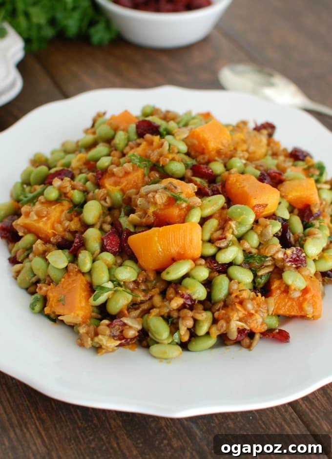 Harvest Wheat Berry Medley with Butternut Squash, Edamame, and Cranberries 3 A side view of the Wheat Berries with Butternut Squash, Edamame, and Cranberries, highlighting the distinct layers and textures of the healthy ingredients.