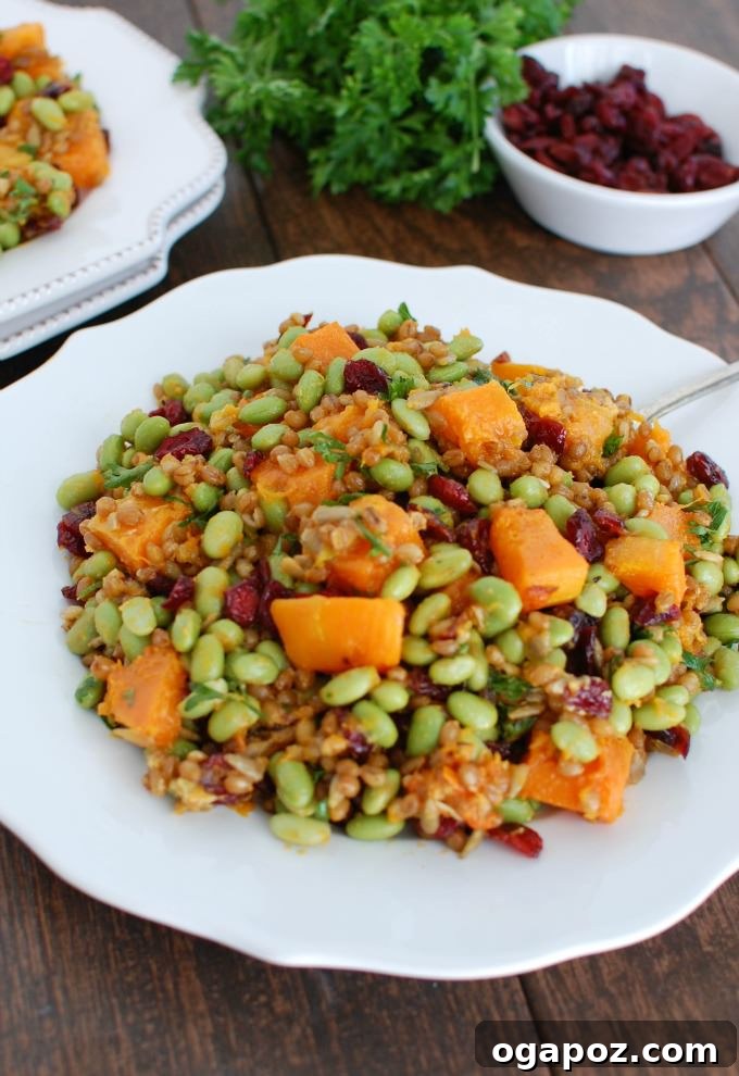Harvest Wheat Berry Medley with Butternut Squash, Edamame, and Cranberries 4 A beautifully composed bowl of Wheat Berries with Butternut Squash, Edamame, and Cranberries, ready to be served as a delicious and nutritious side dish.