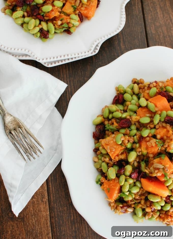 Harvest Wheat Berry Medley with Butternut Squash, Edamame, and Cranberries 5 A generous serving of Wheat Berries with Butternut Squash, Edamame, and Cranberries in a bowl, suitable for a healthy and satisfying lunch.