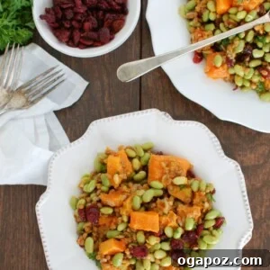Harvest Wheat Berry Medley with Butternut Squash, Edamame, and Cranberries 7 Wheat Berries with Butternut Squash, Edamame and Cranberries