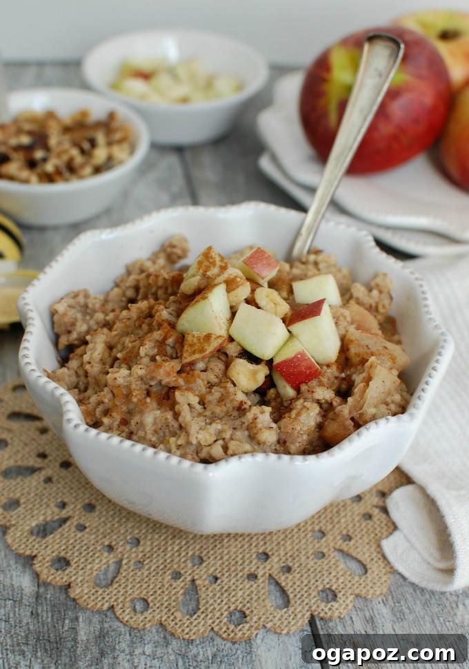 Overnight Apple Pie Steel Cut Oatmeal 4 Close-up of Slow Cooker Apple Pie Oatmeal ready to be served