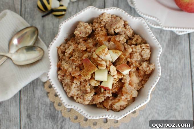 Overnight Apple Pie Steel Cut Oatmeal 6 Toppings for Slow Cooker Apple Pie Oatmeal, including walnuts and honey granules