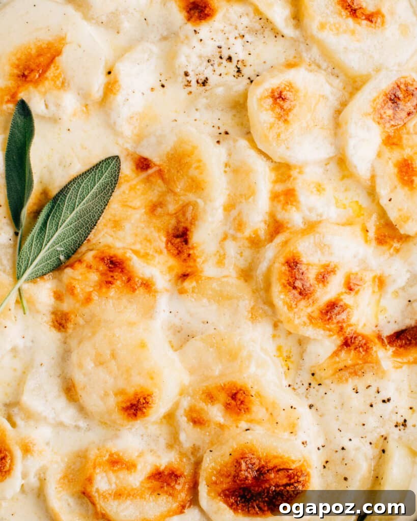 Comforting Gluten-Free Au Gratin Potatoes 7 Another enticing close-up of golden, bubbling gluten free scalloped potatoes, highlighting the rich texture and irresistible cheesy crust.