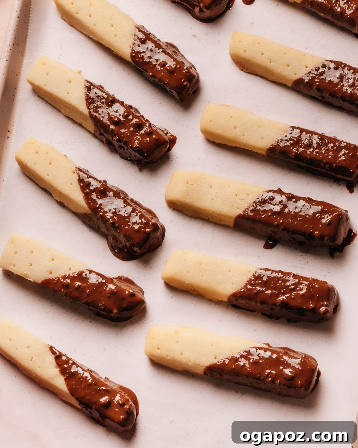 Effortless Chocolate Christmas Delights 16 Buttery Chocolate Dipped Shortbread Cookies, featuring their classic finger shape and glossy chocolate coating.